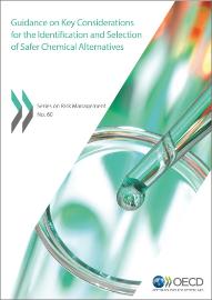Key Considerations Identification and Selection of Safer Chemicals Alternatives